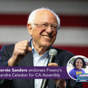 Senator Bernie Sanders has endorsed Sandra Celedon for State Assembly. Both figures believe that real, lasting change is built from the bottom up.